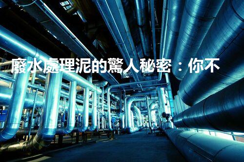 廢水處理泥的驚人秘密：你不明白的環(huán)保新突破！